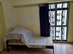 Blk 297B Compassvale Green (Sengkang), HDB Executive #503466491